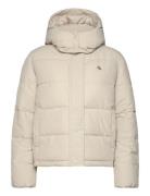 Matte Monologo Nd Short Puffer Fodrad Jacka Cream Calvin Klein Jeans