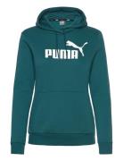 PUMA Ess Logo Hoodie Fl Grön