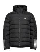 Adidas Sportswear Itavic 3S Midweight Hooded Jacket Svart