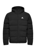 Adidas Sportswear Helionic Ho Jkt Svart