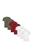 Lindbergh Basic O-Neck Tee S/S 7 Pack Multi/patterned