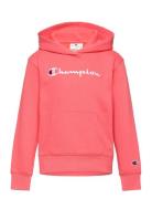 Champion Hooded Sweatshirt Korall