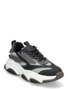 Possess Sneaker Låga Sneakers Black Steve Madden