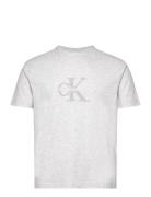 Calvin Klein Jeans Chenille Monologo Tee Grå