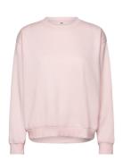 LEVI´S Women Everyday Sweatshirt Potpourri Rosa