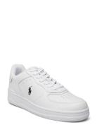 Polo Ralph Lauren Masters Court Leather Sneaker Vit