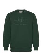 Reg Tonal Shield C-Neck Sweat Tops Sweat-shirts & Hoodies Sweat-shirts...