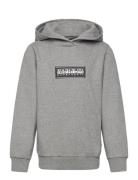 Napapijri Chamois Hoodie Grå