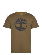 Timberland Kbec River Tree Tee Grön