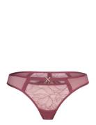 Chantelle X Xquisite Tanga Rosa