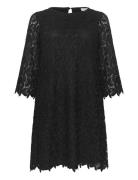 Kcemma Lace Dress Knälång Klänning Black Kaffe Curve