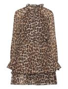 Leopard-Print Flared Dress Kort Klänning Brown Mango