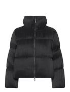 Dinara Crinkle Puffer Fodrad Jacka Black French Connection