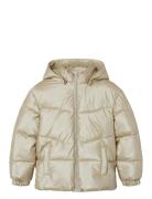 Nkfmaggy Puffer Jacket Shiny Fodrad Jacka Gold Name It