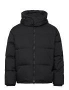 Emporio Armani Down Jacket Svart