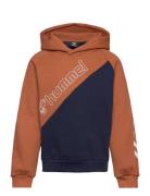 Hummel Hmlaxel Hoodie Brun