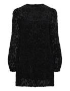 Dablon Lace Black Mini Dress Kort Klänning Black ALOHAS