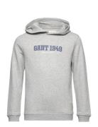 GANT Gant 1949 Hoodie Grå