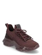 Maxilla-R-E Sneaker Låga Sneakers Burgundy Steve Madden