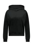 Hunkemöller Hoody Ls Velours Svart