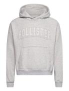 Hollister Hco. Guys Sweatshirts Grå