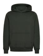 Abercrombie & Fitch Anf Mens Sweatshirts Grön