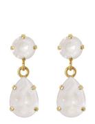 Caroline Svedbom Mini Drop Earrings Gold Guld