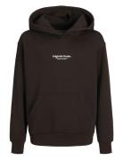 Jack & J S Jorvesterbro Sweat Hood Noos Jnr Brun