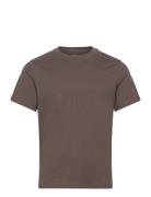 Weekday Short Boxy Heavyweight T-Shirt Brun