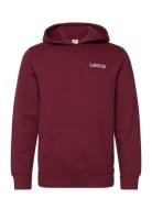 LEVI´S Men Standard Graphic Hoodie Rope B Burgundy