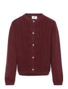 En Fant Cardigan Knit Burgundy