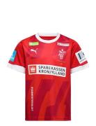 PUMA Dhf Home Jersey Jr Röd