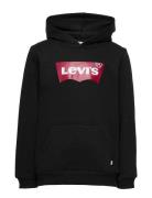 Levi's Levi's® Batwing Screenprint Hooded Pullover Svart