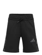 Adidas Sportswear J Camo Short Svart