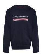 Tommy Hilfiger Monotype 1985 Reg Sweater Marinblå