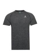 Odlo Odlo Essential Seamless T-Shirt Crew Neck S/S Grå