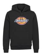 Dickies Icon Logo Hoodie Svart