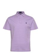 Polo Ralph Lauren Custom Slim Fit Striped Soft Cotton Polo Lila