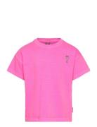 TUMBLE 'N DRY Tnd Rouen Rosa