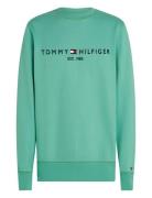 Tommy Hilfiger Tommy Logo Sweatshirt Grön