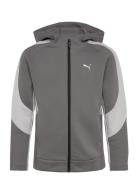 PUMA Evostripe Full-Zip Hoodie Dk B Grå