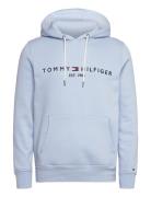 Tommy Hilfiger Tommy Logo Hoody Blå