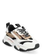 Steve Madden Jpossession Sneaker Multi/patterned