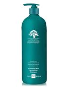 Arganmidas Rosemary Mint Revitalizing Shampoo Nude