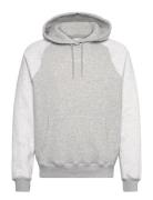 Hollister Hco. Guys Sweatshirts Grå