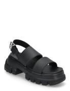 Tommy Hilfiger Tjw Chunky City Sandal Svart