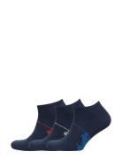 Polo Ralph Lauren Big Pony Sock 3-Pack Blå