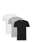 Polo Ralph Lauren Slim Crewneck 3-Pack Svart