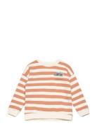 Mango Cartoon Cotton Sweatshirt Orange