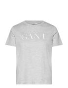 GANT Reg Tonal Graphic Ss T-Shirt Grå